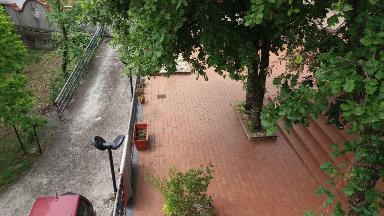 B&B Le Tre Rose Di Maria 佩达拉 外观 照片